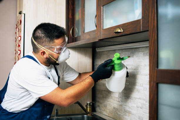 Best Pest Removal Services  in Fort Mitchell, KY