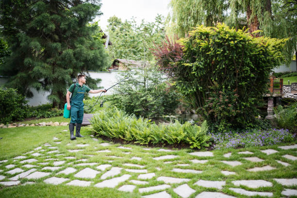 Best Pest Control Near Me in Fort Mitchell, KY