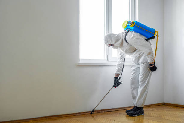Best Ant Control Services  in Fort Mitchell, KY