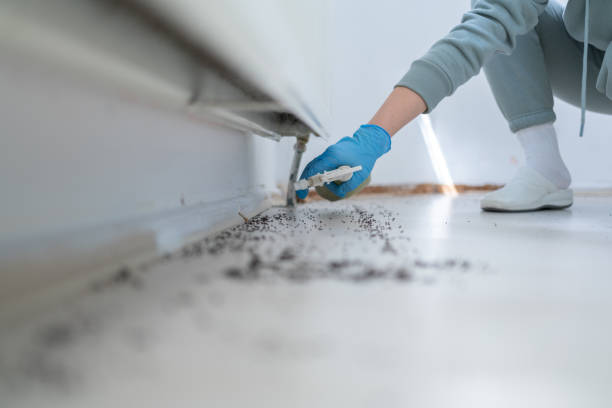 Best Commercial Pest Control Services  in Fort Mitchell, KY